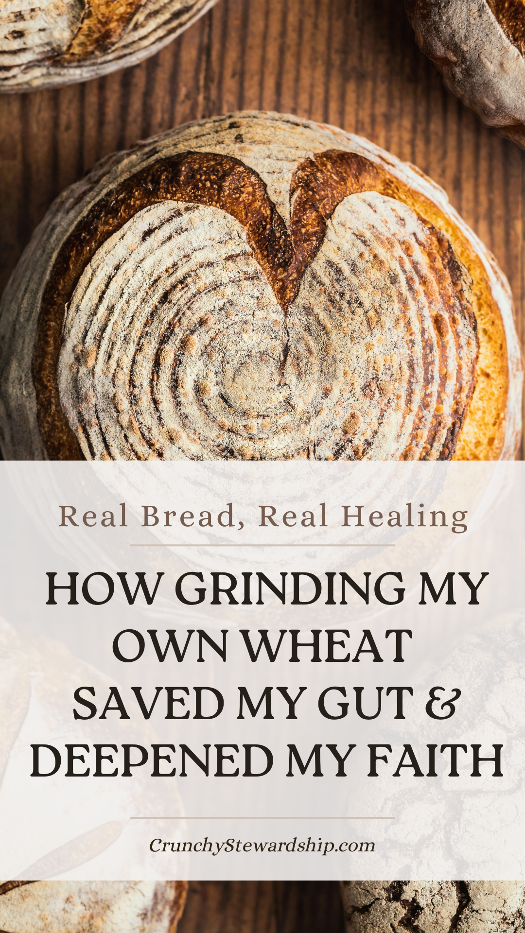 How Griding my own wheat healed my gut How Griding my own wheat healed my gut