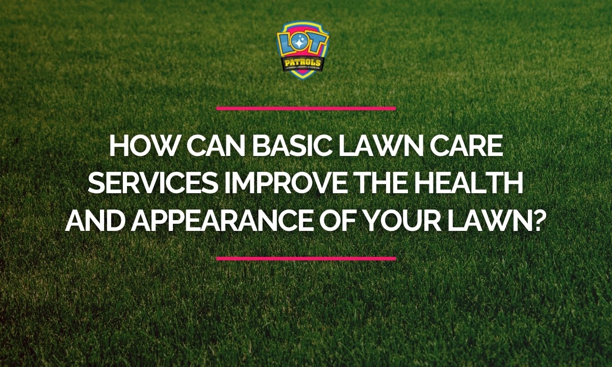 Basic Lawn Care Services for a Healthy, Lush Lawn