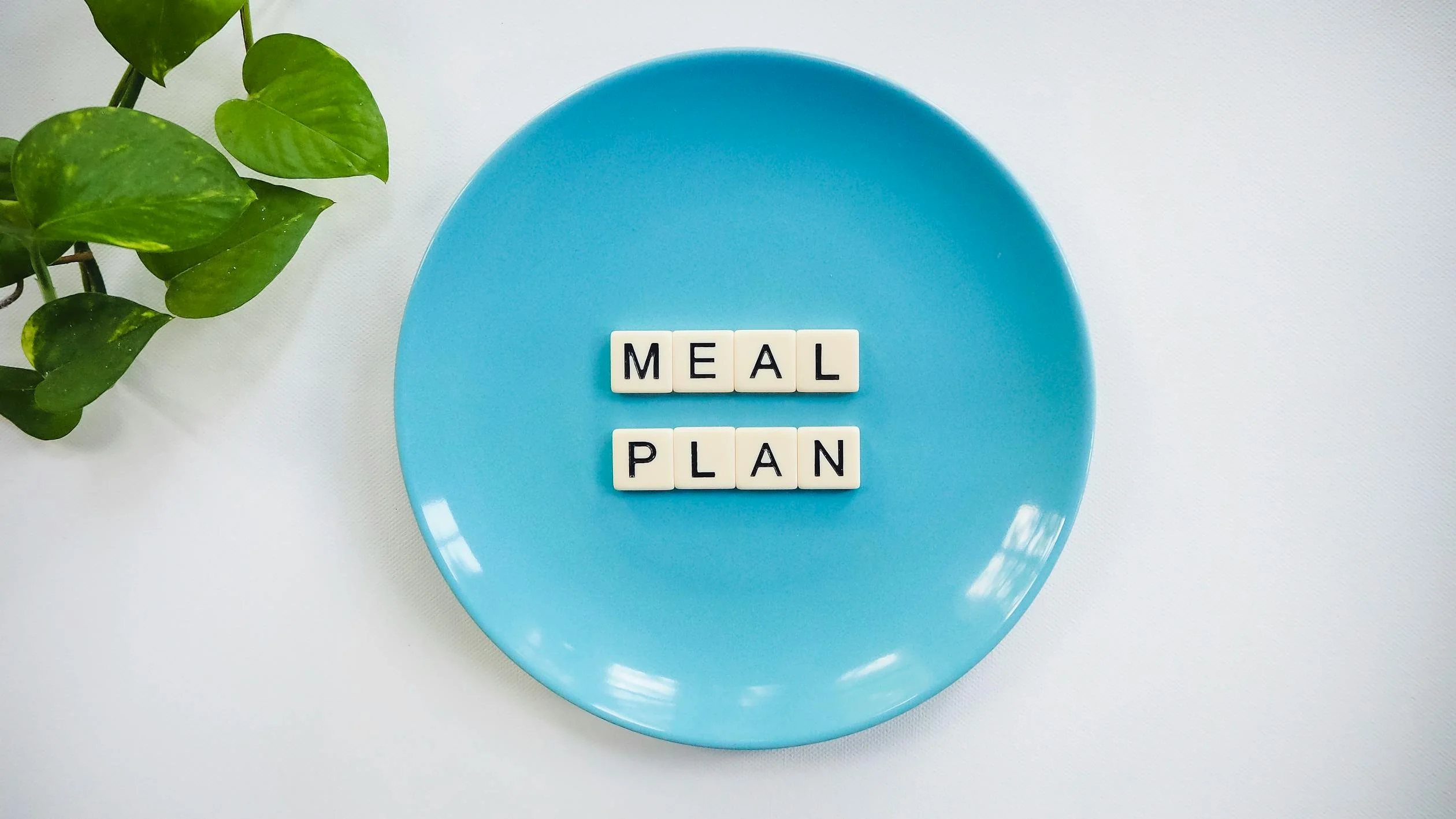 meal plan meal plan