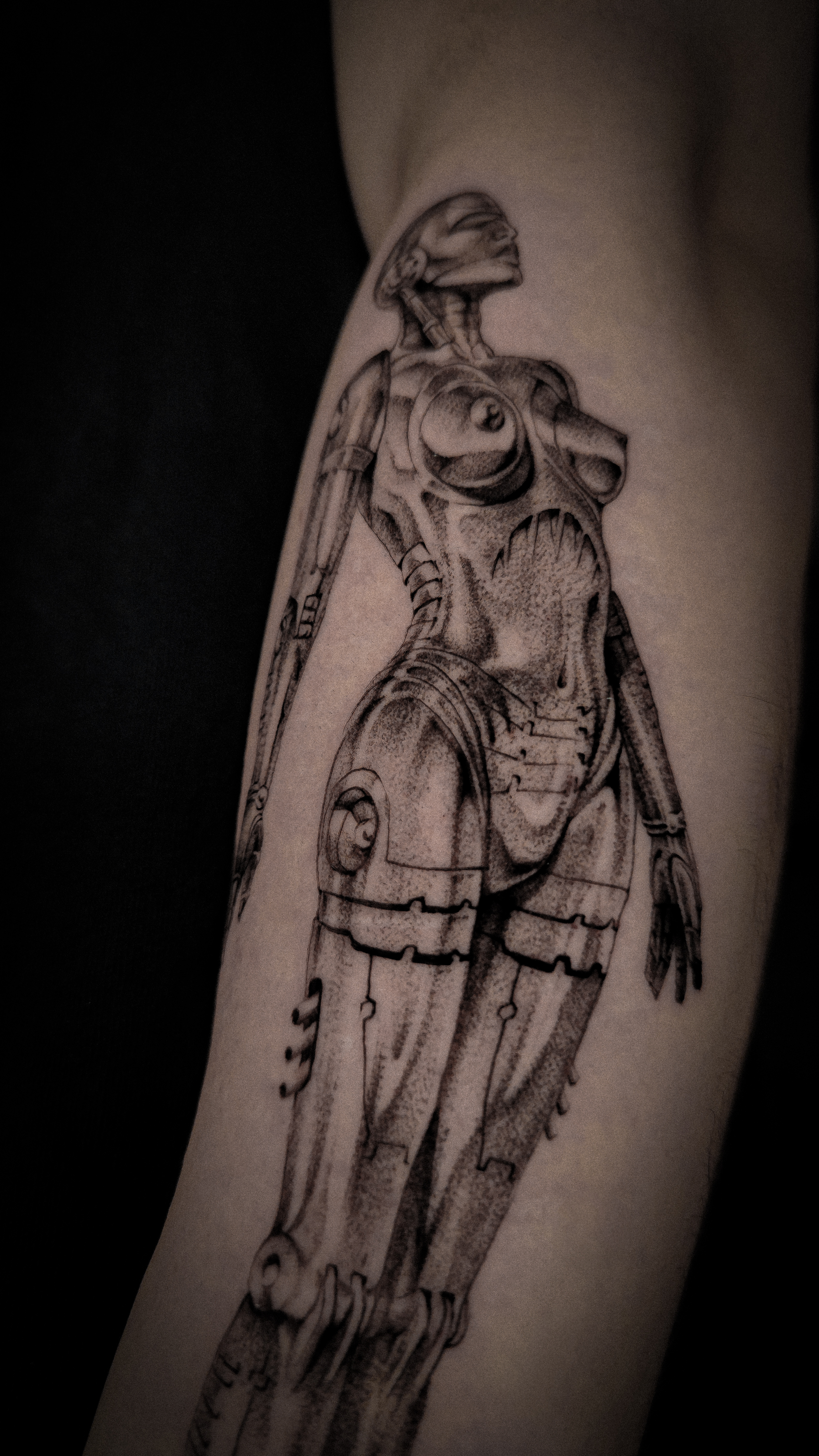 Lara Lapa: La Melodía que Todos Aman, image size:3384x6016