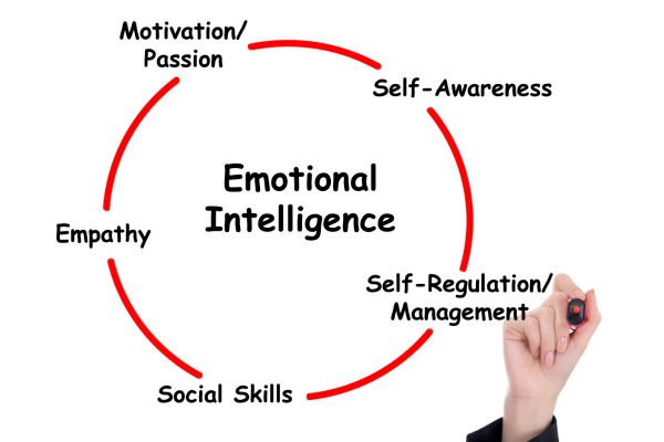 Cultivating Emotional Intelligence: The Key to Thriving in Business Relationships