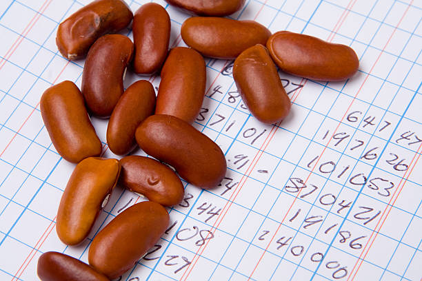 bean counting