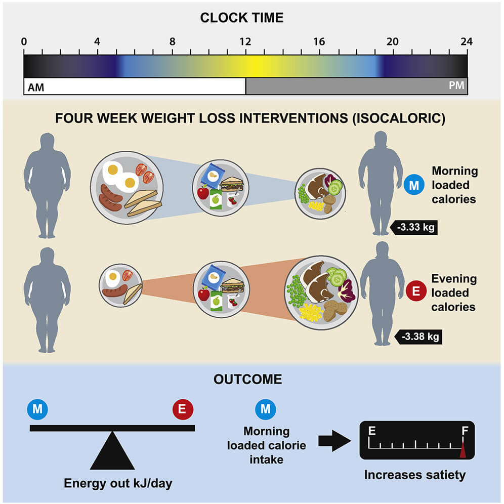 FRONT LOADING CARBOHYDRATES FOR PCOS