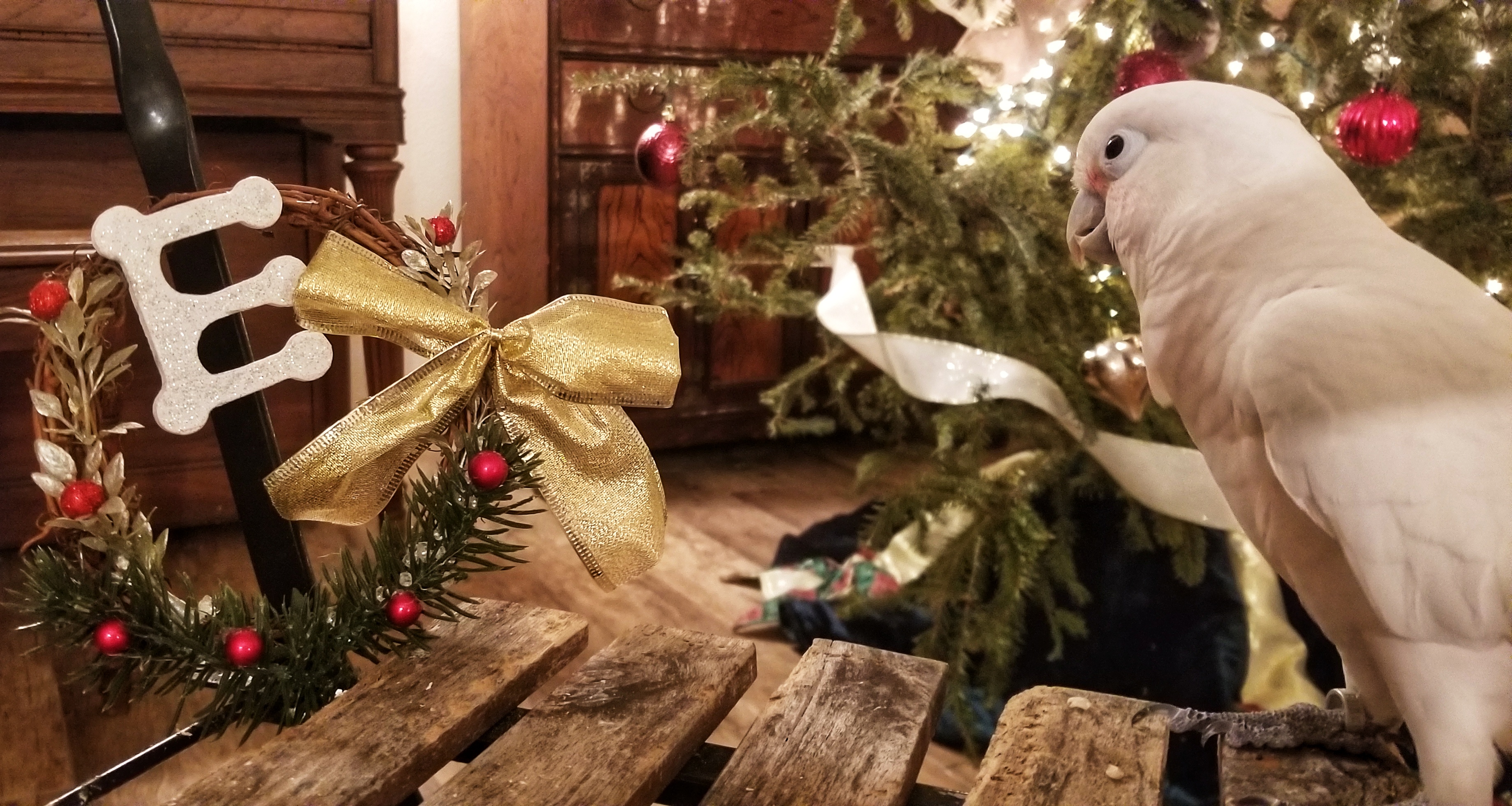 2026 Annual Pass + Christmas with the Girls - Holiday Hearth Sale