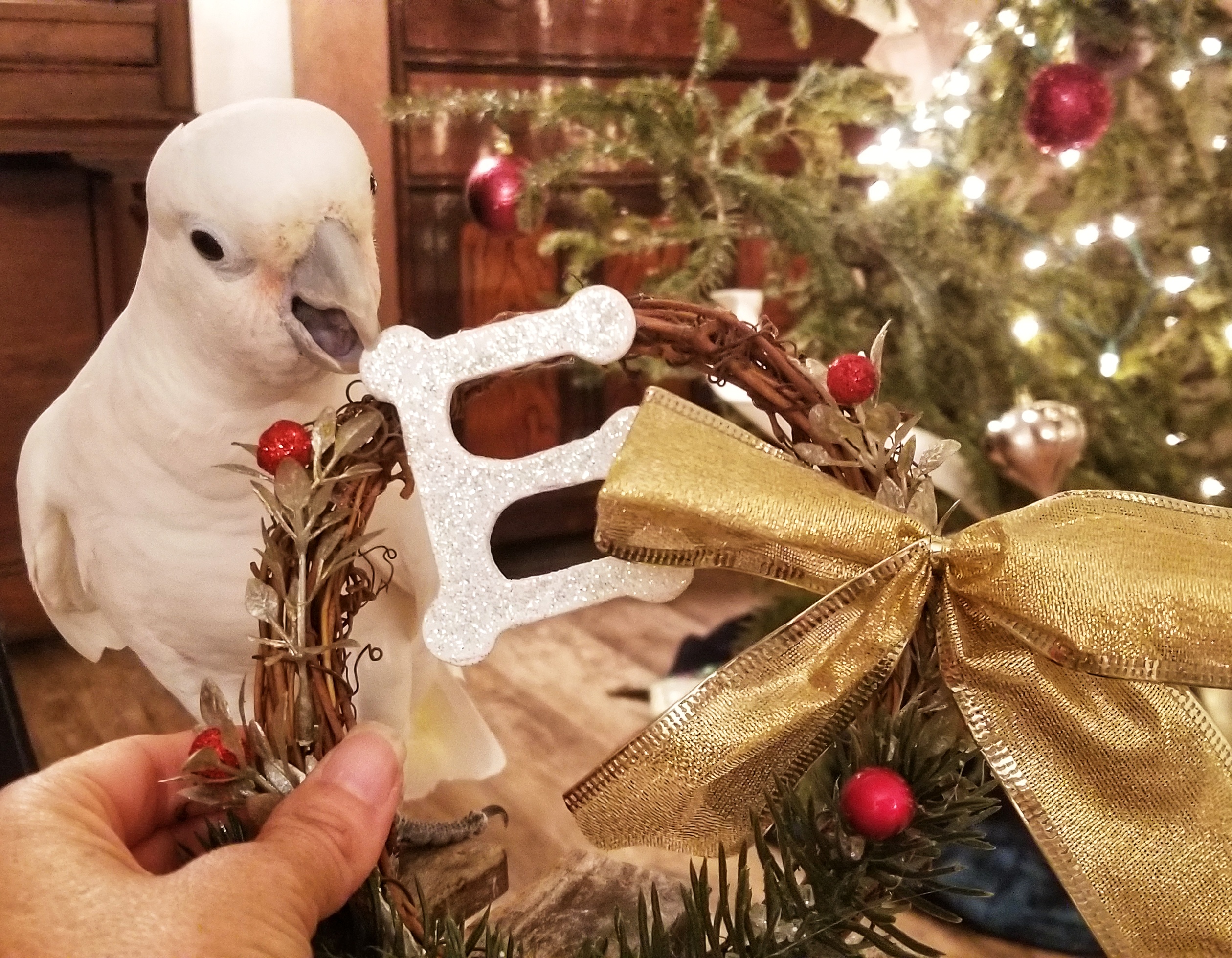 Christmas with the Girls 2027