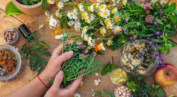Happy Herbs