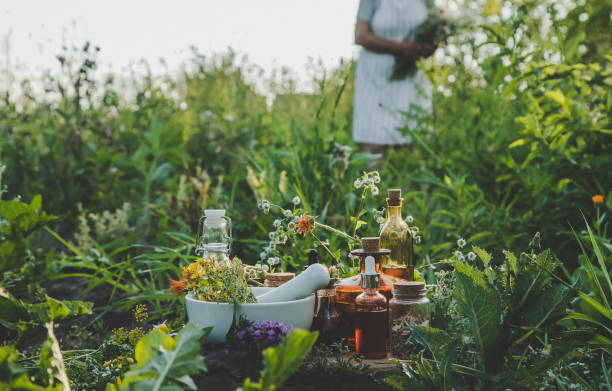 herbalism in fall