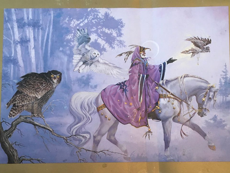 Owl Wizard