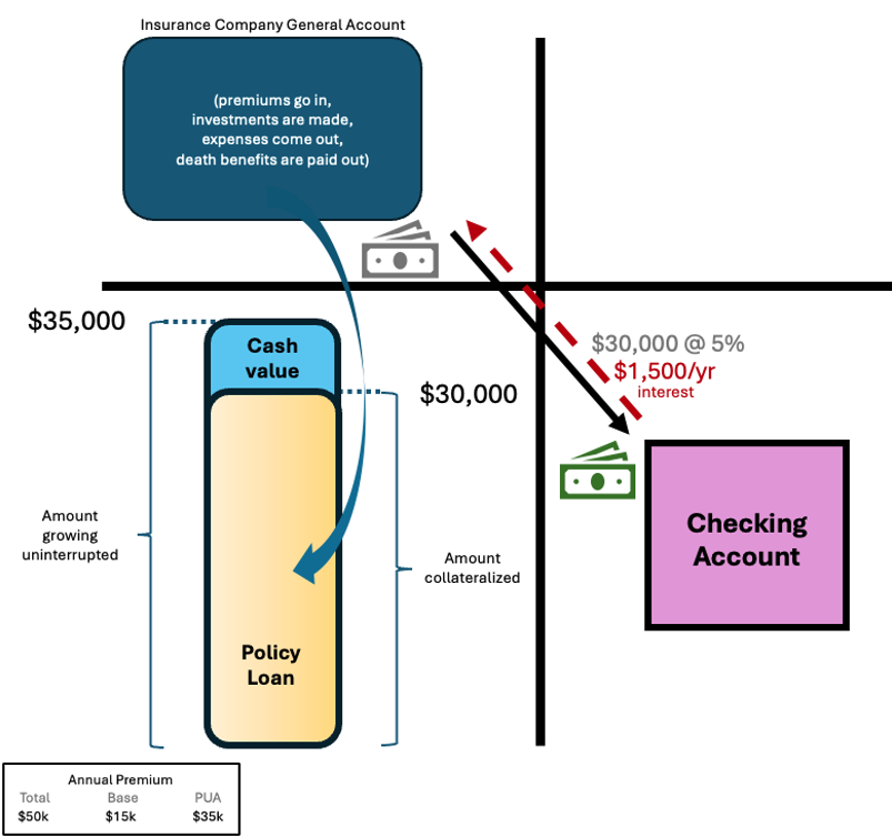 policy loan