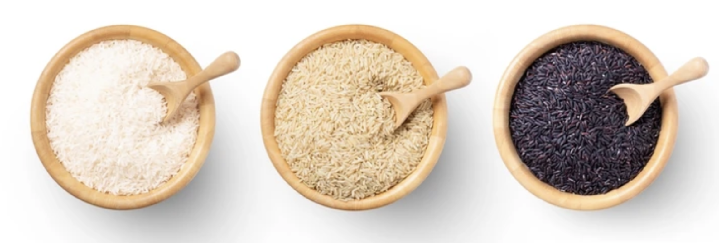 Rice Variety Rice Variety