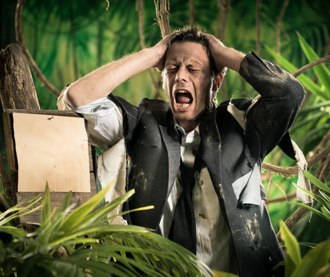 Lost in jungle Lost in jungle