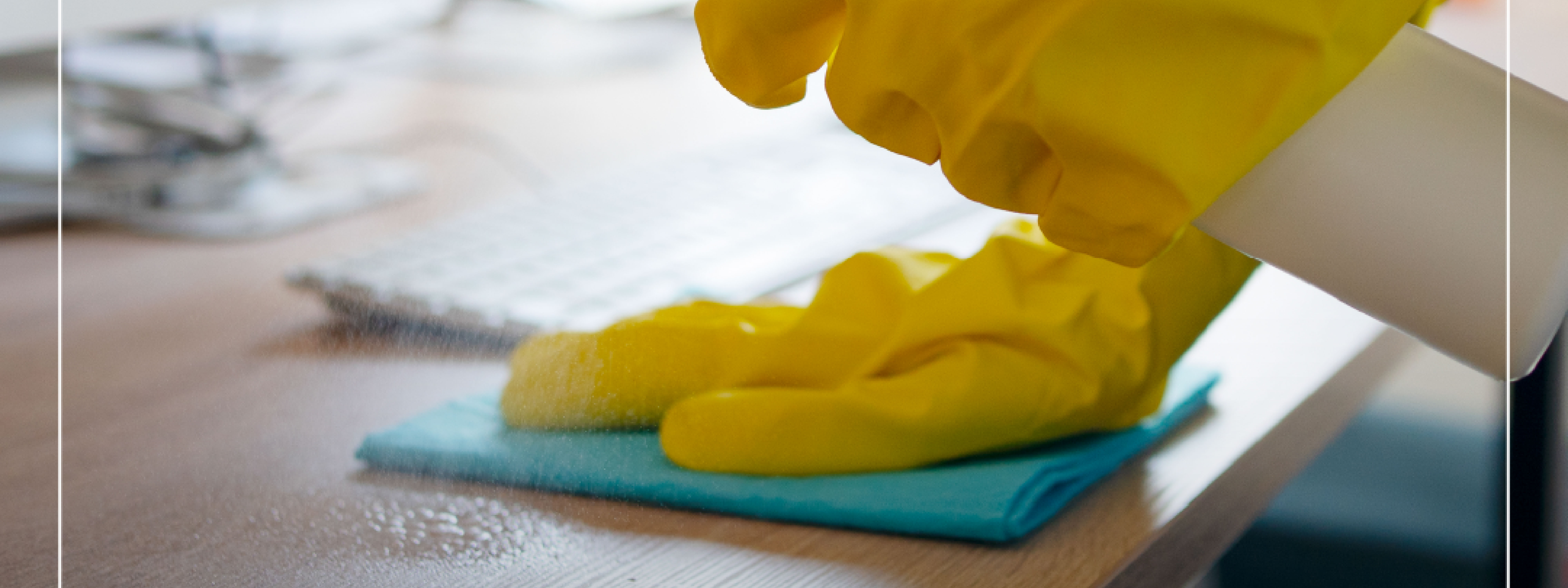 Limpieza Profesional