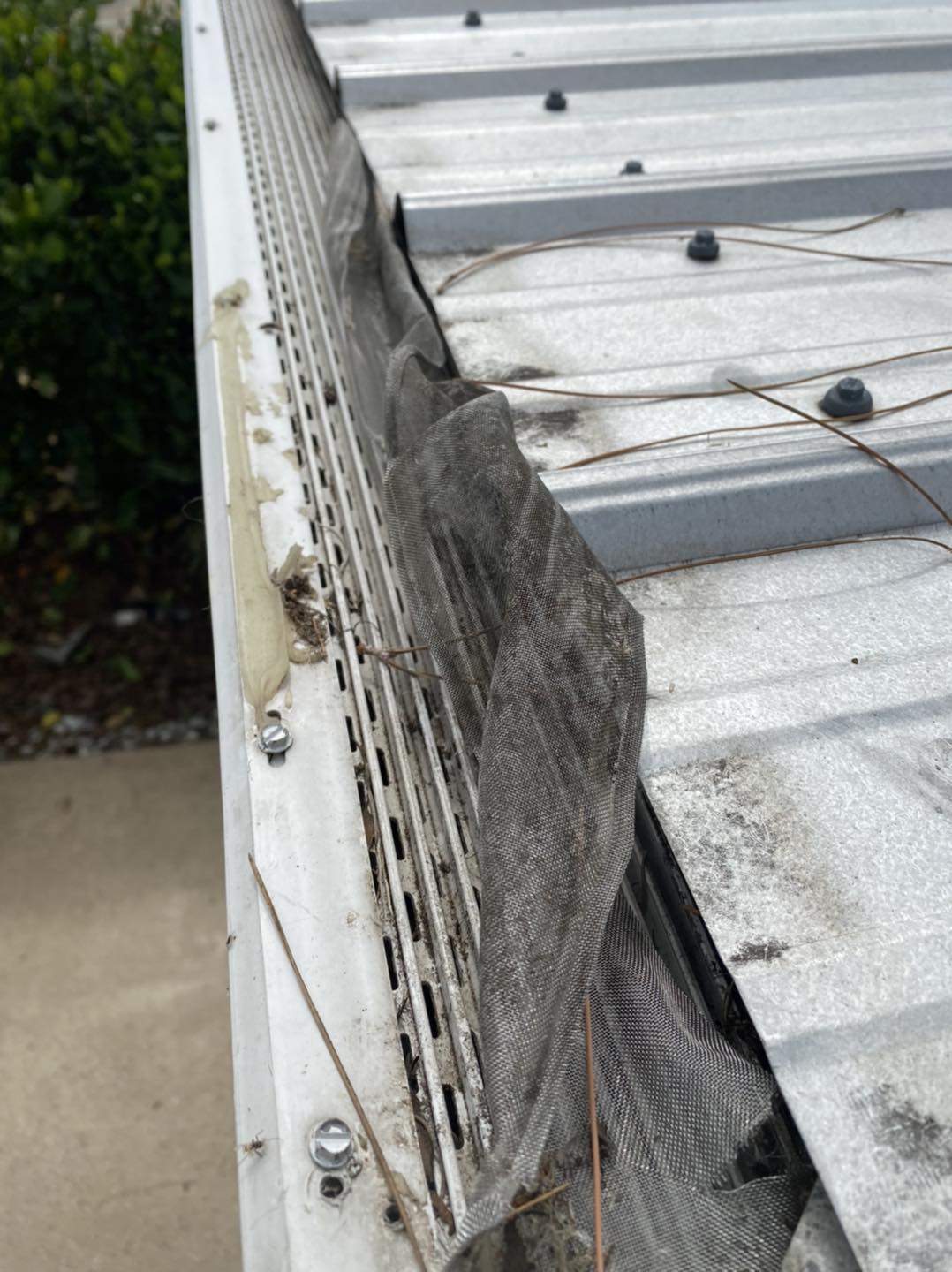 failed leaf filter guards failed leaf filter guards