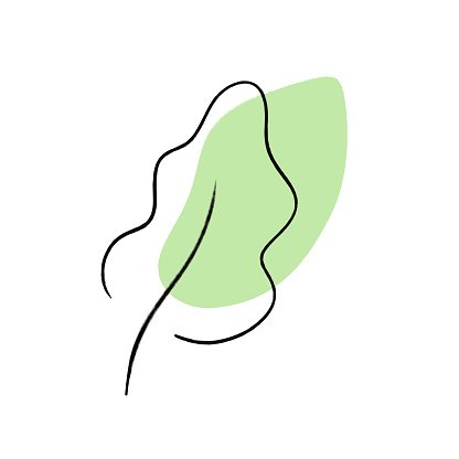 leaf