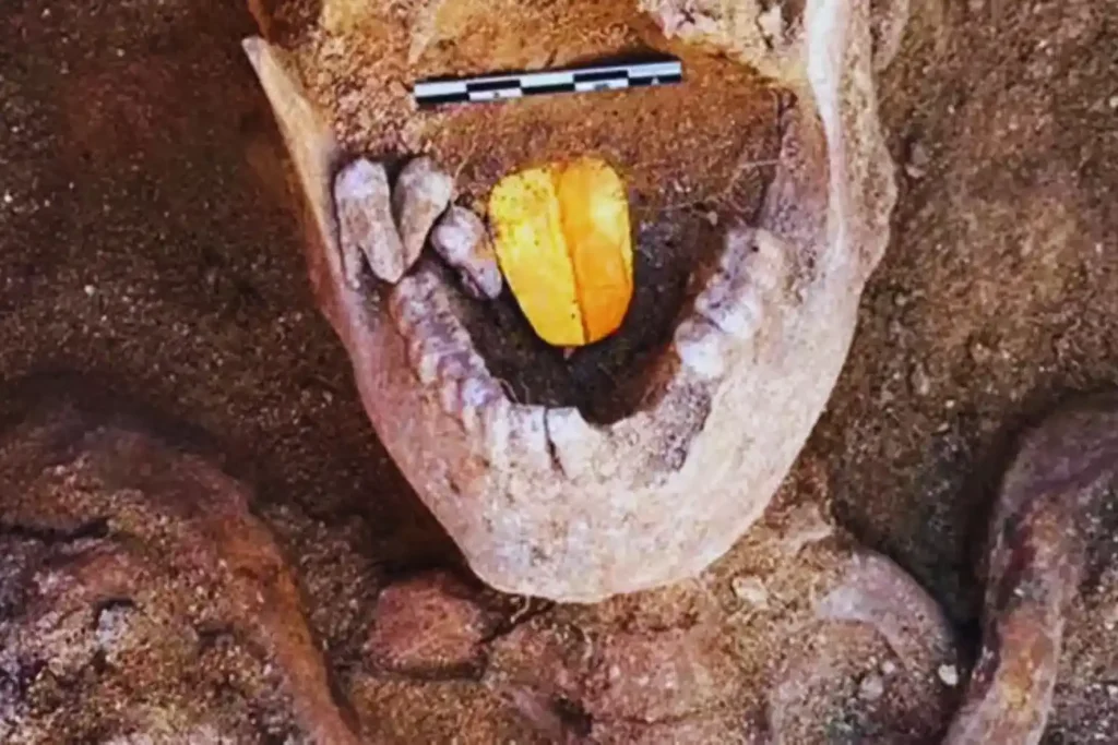 Lungua d'oro mummie egitto Lungua d'oro mummie egitto