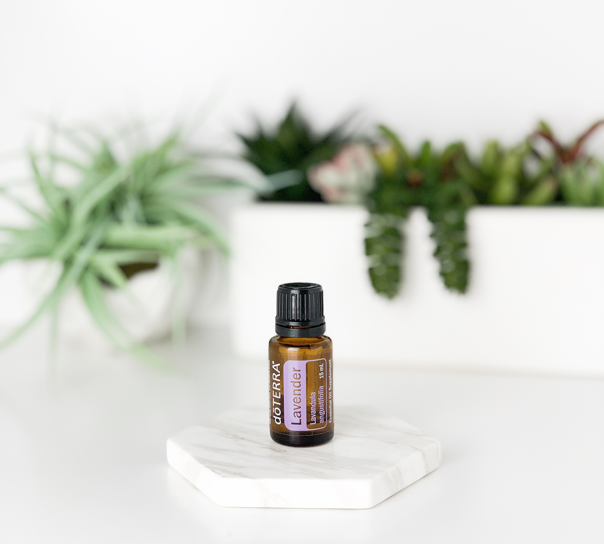 a bottle of essential oil sitting on an all white counter in front of white planters full of green plants representing clean air, clean surfaces, and clean habits to reduce the symptoms of PANS, PANDAS, and other pediatric conditions
