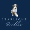 Starlight Bernedoodles specializes in healthy, loyal, fun-loving, and low-energy bernedoodles that combine the best traits of Bernese Mountain Dogs and Poodles.

Our ethical breeding practices ensure healthy, happy companions for families and individuals. Learn more about our available puppies and expert care tips.