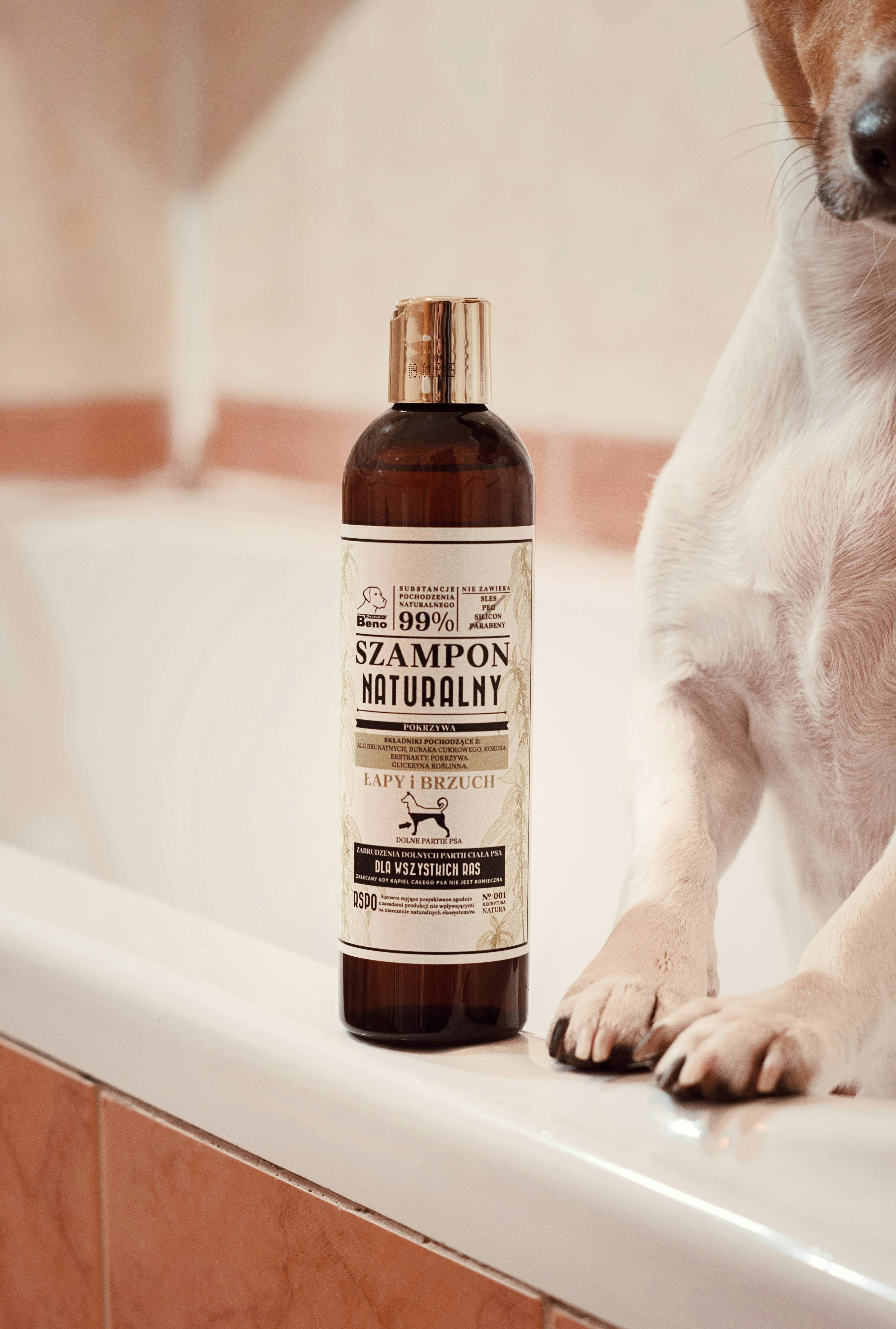 dog shampoo