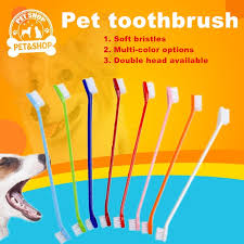 dog toothbrush