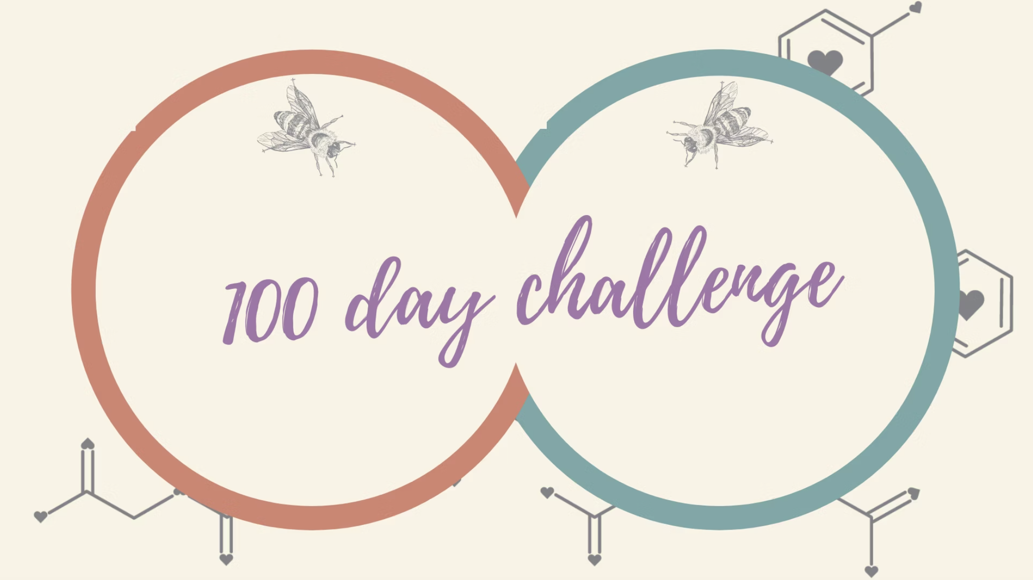 100 day challenge 100 day challenge
