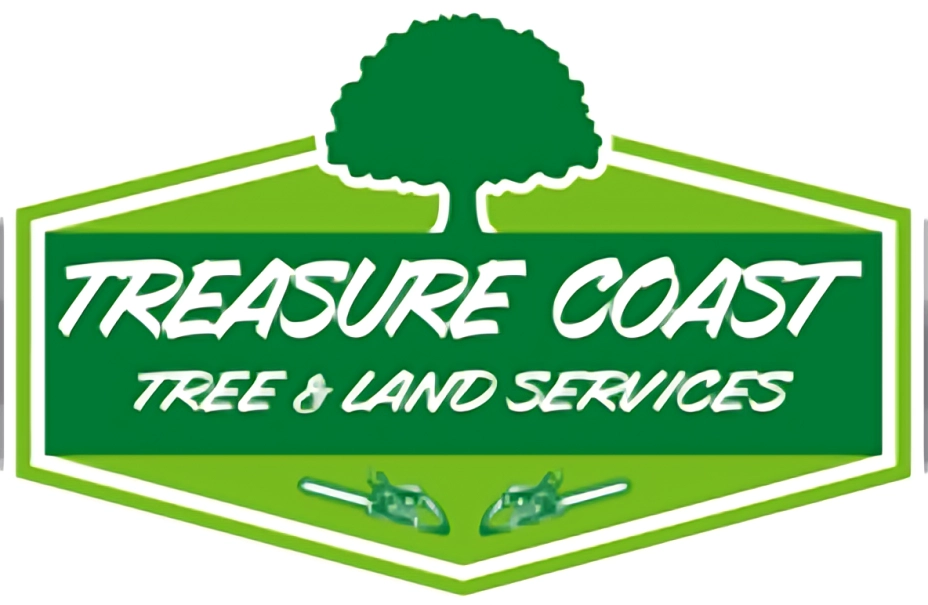 What to Do If a Tree Falls on Your Property – A Guide from Your Local Arborists