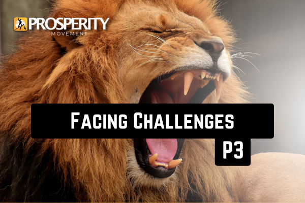 Facing Challenges - Part 3