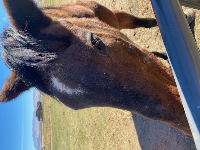   Crescent moon Max at 40 years old, I think he really loves my Mom