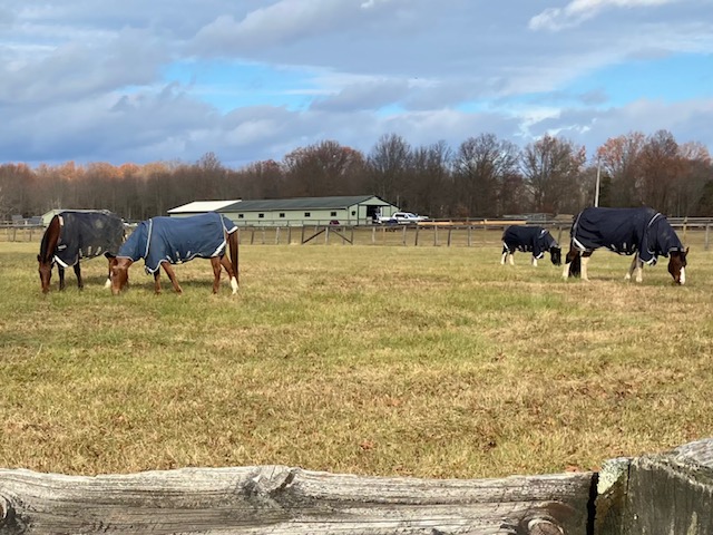 A new horse farm near cousin Sally