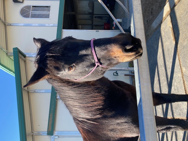 Linda's "Harmony" is a striking beauty