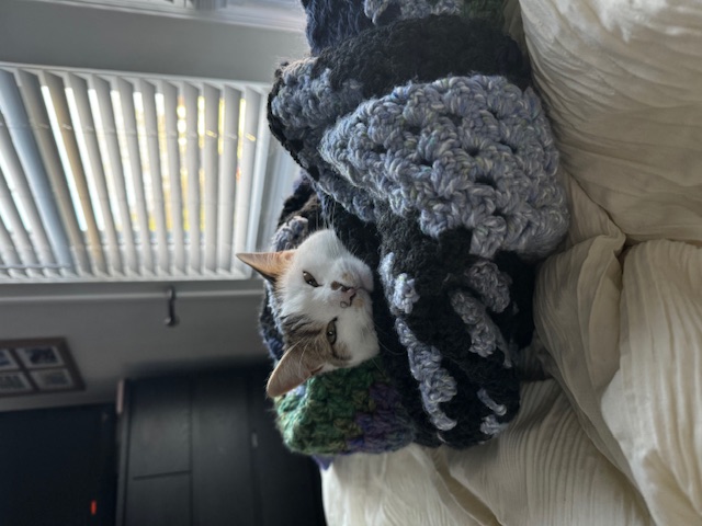 Washi wrapped in her Mom's handmade quilt