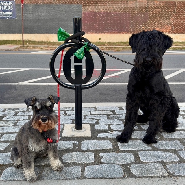 Raul's Tywin and Sandor, all Hoboken boys