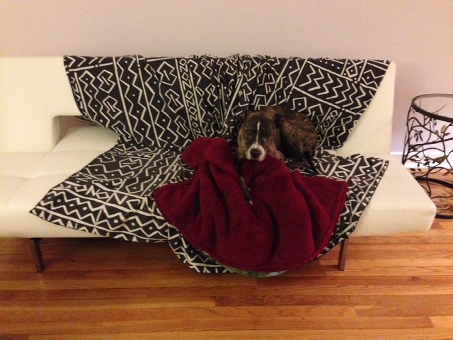 Wherever you are, it should be cozy