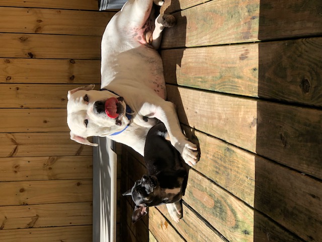 Ru and big bro Maus