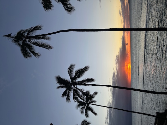 How beautiful is this?