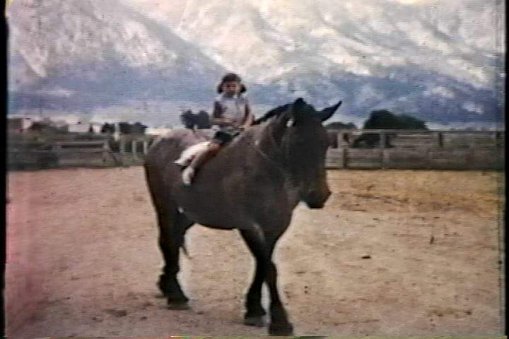 Donnis knew all about horses, even then!