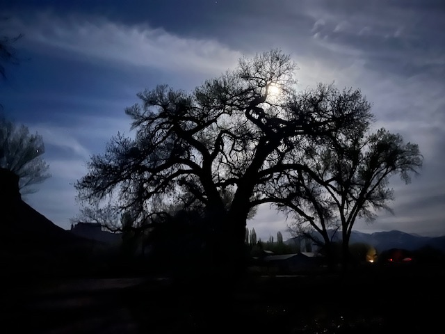 The recent LOVEly full moon as taken by Mom's sister, Robin.
