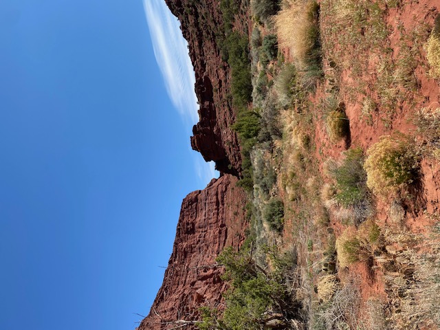 The beginning of one of the many canyon trails
