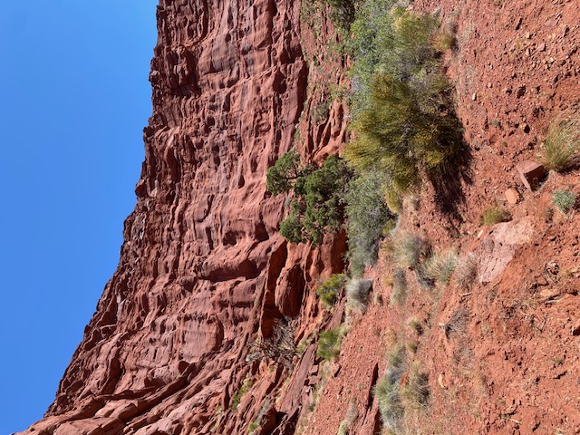  It was amazing to be surrounded by these walls of rock and,  it was soooo quiet. My Mom said it felt like a "sacred" place.
