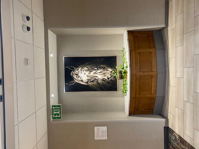 Hotel Horse Energy! 