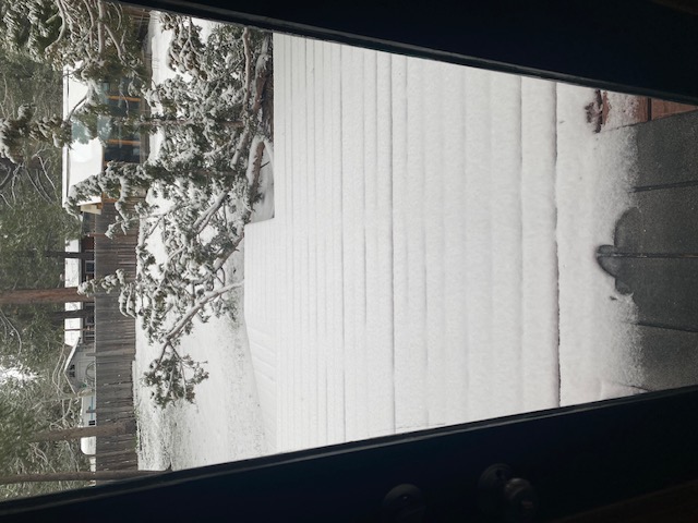 Yes, we live in the Sierra Mountains!