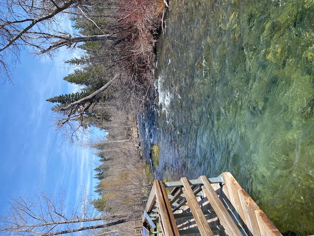 Taylor Creek