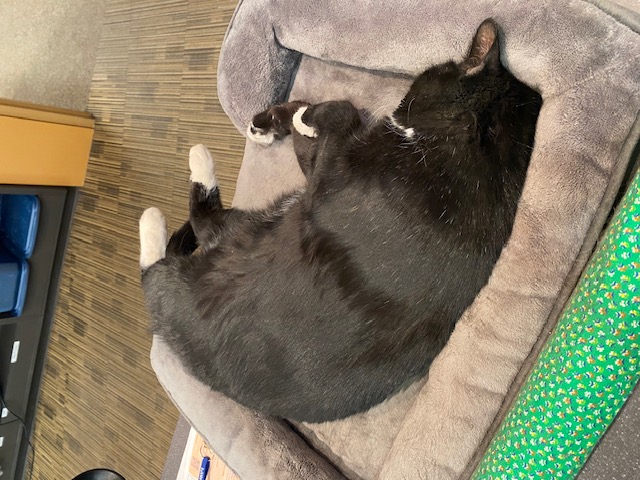 Cosmo, a very mild-mannered reporter