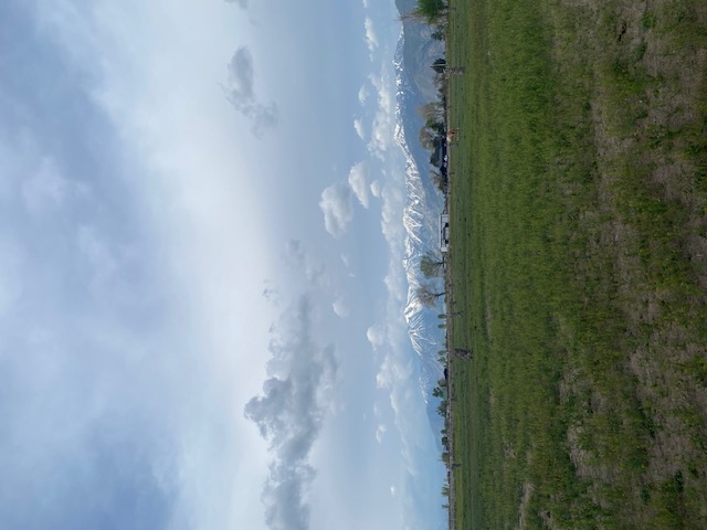 Nevada Horse Retreat