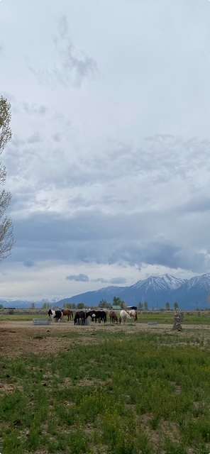 Nevada Horse Retreat