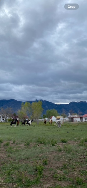 Nevada Horse Retreat