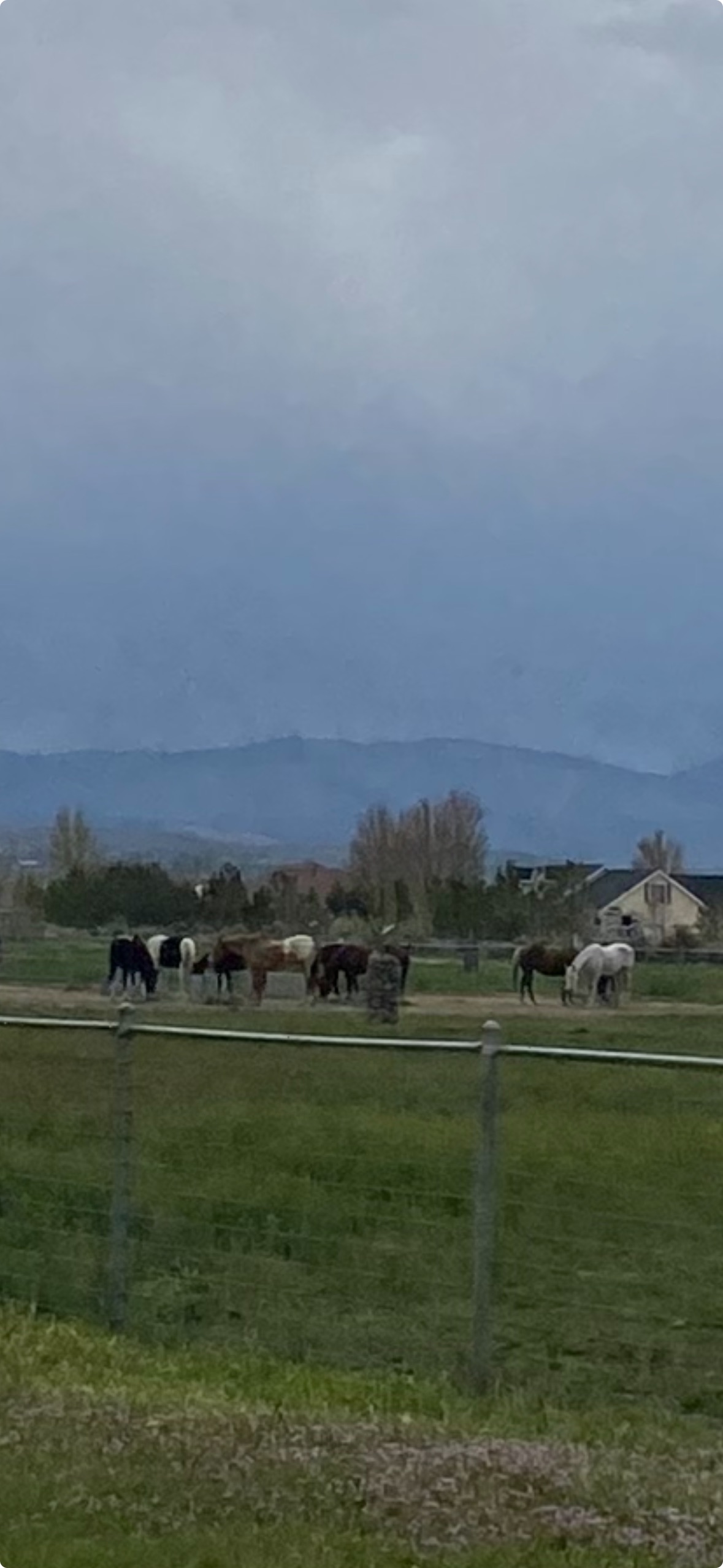 Nevada Horse Retreat