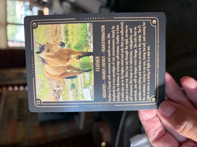 Feather's card