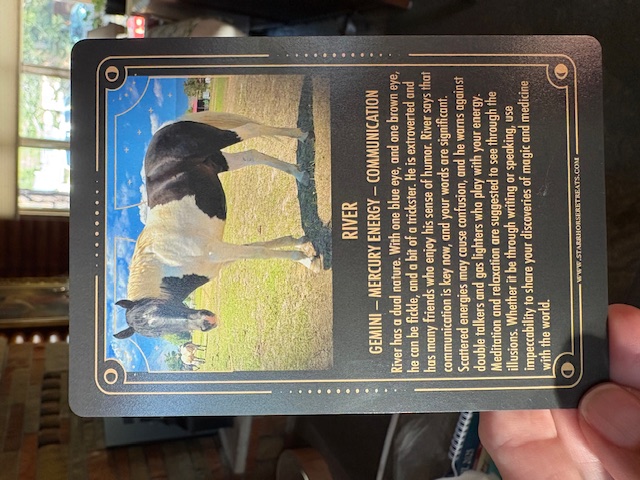 River's card