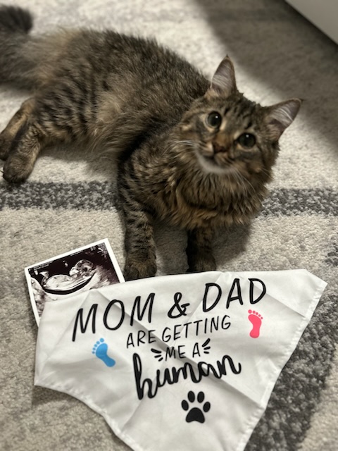 Kona is thrilled about her new human!