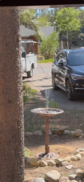 Front yard birdbath, we hope